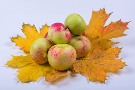 apples on yellow leaves, gray background side viewの写真素材