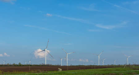 several wind farms stand in a field, the photo was taken on a sunny summer day against a blue sky