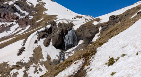 A beautiful view of the snowy mountains and coniferous forest, the photo was taken on a sunny summer...