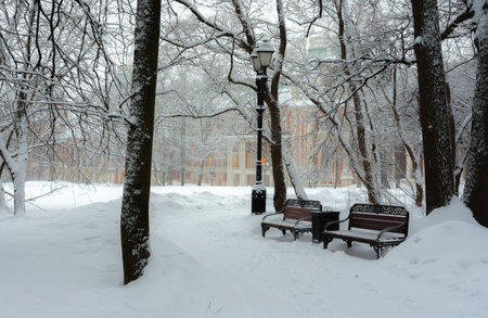 winter landscape, view on a bench and a lantern in the park, photo taken on a cloudy winter dayのeditorial素材