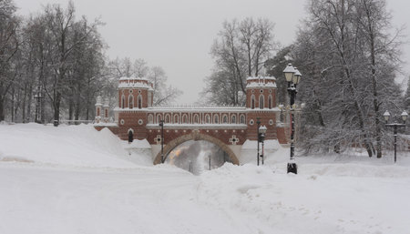 Russia January 18, 2022 Moscow, view of the figured bridge in the Tsaritsyno Museum-Reserve, photo taken on a cloudy winter dayのeditorial素材