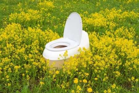 dry closet among green grass and yellow flowers, photo taken on a cloudy summer dayの写真素材