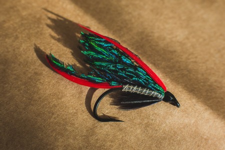 Macro shot of a wet fly fishing , Alexandraの写真素材