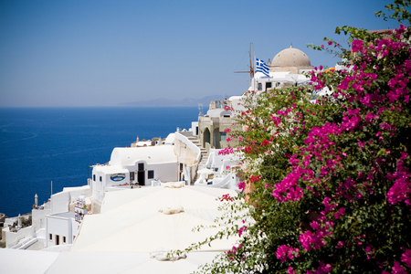 Santorini, Greece - blue sea, blue sky and pink flowersの写真素材