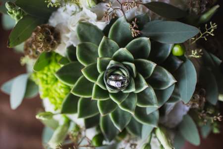 Beautiful Wedding golden Ringsの写真素材