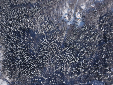Aerial, Drone View of Snow Covered Evergreen Christmas Tree Forest after Snowの写真素材