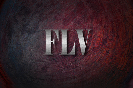 FLV text on backgroundの写真素材