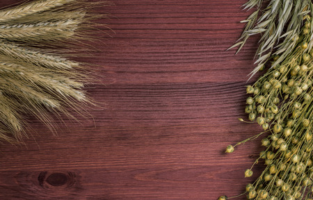 dry stalks of cereals on a wooden boardの写真素材