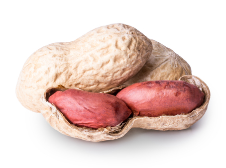 nuts peanuts for a healthy dietの写真素材