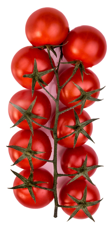 sweet red cherry tomatoes on a branch isolatedの写真素材