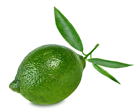 lime isolated on white backgroundの写真素材