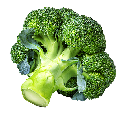 Broccoli isolated on white backgroundの写真素材