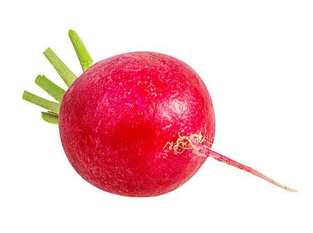 Fresh radishes isolated on white.の写真素材