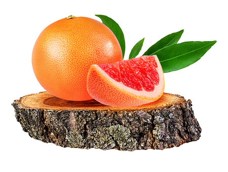 grapefruit on a wooden ?ross section of tree trunk isolated on white backgroundの写真素材