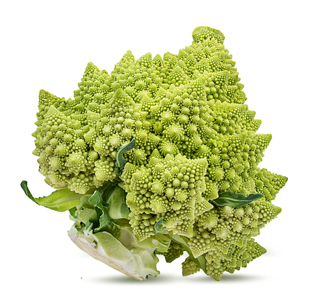  Roman cauliflower isolated on white background with clipping pathの写真素材