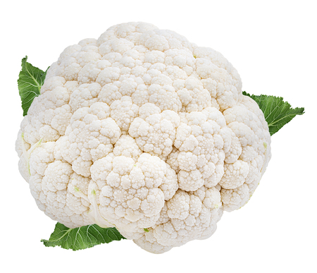 Cauliflower isolated on white backgroundの写真素材