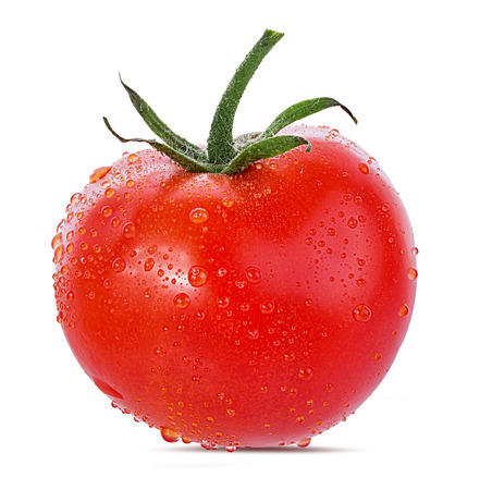 tomato isolated on white backgroundの写真素材