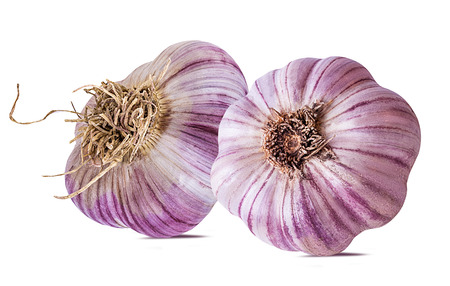 garlic isolated on white backgroundの写真素材