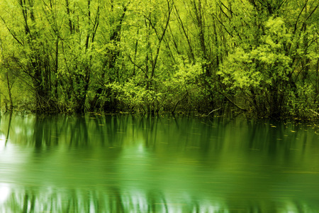 Long exposure of river flowingの写真素材