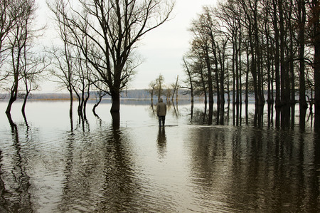 Man standing in the water in flooded fieldの写真素材