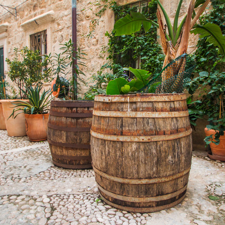 Plants and palms in old wooden barrels in narrow street in the Old Town in Dubrovnik, Croatia, mediterranean ambientの写真素材