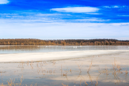 Beautiful winter landscape in countryside, lake surface in nature park Lonjsko polje, Croatiaの写真素材