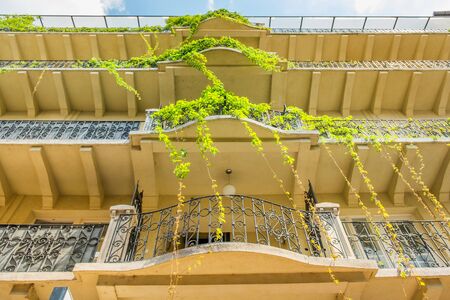 Green balcony in a city street. House plants on the balcony. Classic style.の写真素材