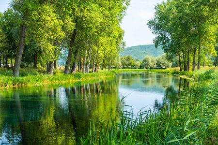 Beautiful Gacka river flowing between trees and fields, summer view, Lika region of Croatiaの写真素材