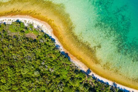Adriatic coast in Croatia, pine forest and blue lagoon on Dugi Otokの写真素材
