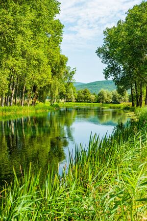 Croatia, Gacka river flowing between trees and fields, summer view, Lika region, beautiful natureの写真素材