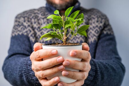 Bearded man indoors holding and showing the vase with beautiful plant in hands, candid photo, shallow debt of fieldの写真素材