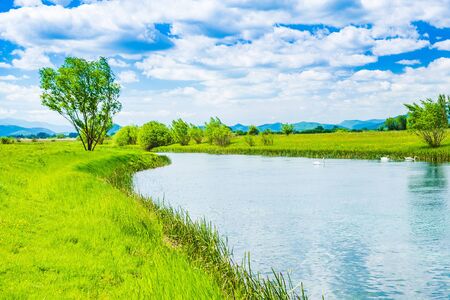 Beautiful river Gacka flowing between the meadow fields in Lika region of Croatiaの写真素材