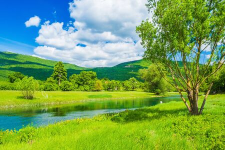 Beautiful green landscape, river Gacka flowing between the meadow fields in Lika region of Croatiaの写真素材