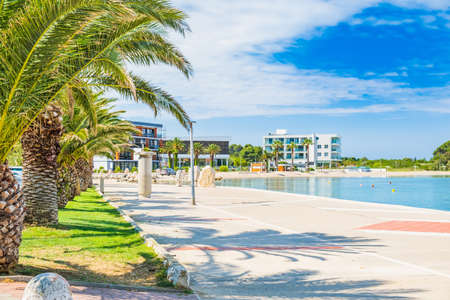 Croatia, beautiful Adriatic coastline, town of Novalja on the island of Pag, city center, marina, walkaway with palmsの写真素材