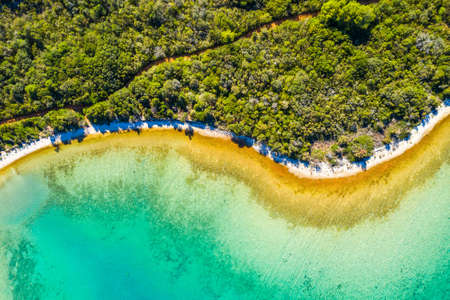 Aerial overhead view of Adriatic sea shore in Croatia, Dugi otok island. Pine woods, long hidden secret beaches and emerald sea surfaceの写真素材
