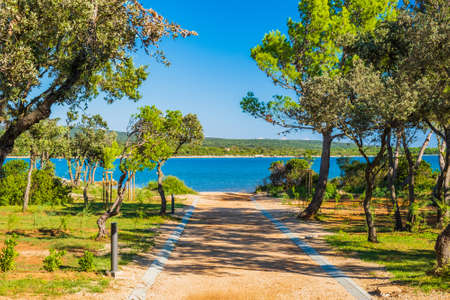 Beautiful island of Losinj, path between pine trees to turquoise beach, Croatiaの写真素材