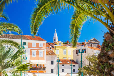 Town of Mali Losinj on the island of Losinj, Adriatic coast in Croatia, cathedral tower and city center, view through the palm leavesの写真素材