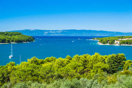 Olive trees and beautiful Adriatic seascape, sail boat in lagoon on the island of Cres in Croatiaの写真素材