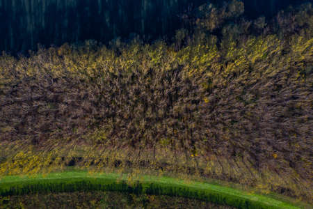 Aerial overhead view of forest in autumn, colorful trees and river Kupa in Croatia, abstract backgroundの写真素材