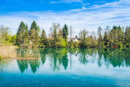 River of Mreznica in Croatia, trees reflection on waterの写真素材
