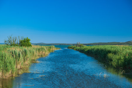 Ornithological nature park Vrana lake (Vransko jezero) in Dalmatia, Croatiaの写真素材