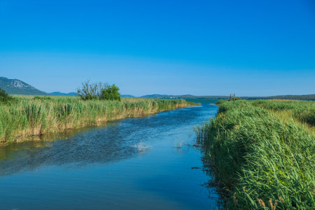 Ornithological nature park Vrana lake (Vransko jezero) in Dalmatia, Croatiaの写真素材