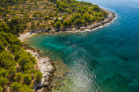 Shore of Murter island in Dalmatia, Croatia, aerial viewの写真素材