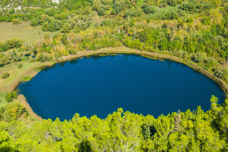 Aerial view of the beautiful lake in the forest at summer timeの写真素材
