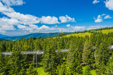 Forest canopy walkway footpath above treetops, outdoor adventure on Rogla, Sloveniaの写真素材