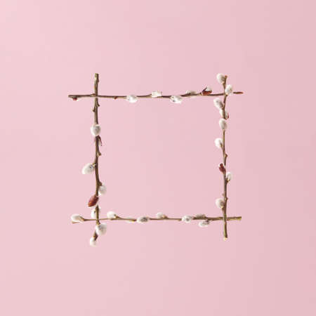 Creative square frame layout made of willow twigs with catkin buds against pale pink background. Minimal 2021 spring bloom concept.の写真素材