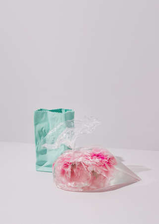 Pink peony flowers in a plastic bag filled with water leaning against cyan blue ceramic vase on a...