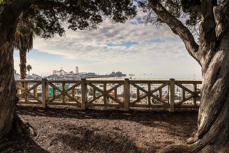 View of Santa Monica Pier between the treesの写真素材