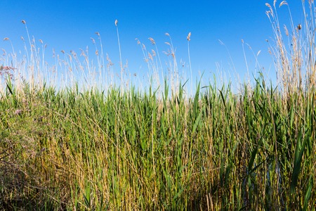 Stubble fields under the blue sky