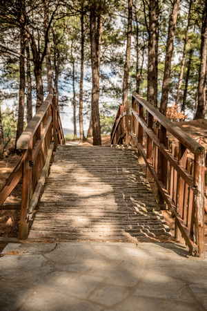 Wooden bridge in the forestの写真素材